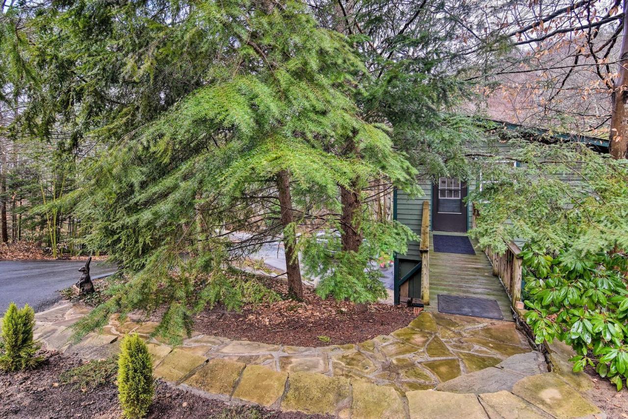 Appalachian Mountain Retreat 6 Mi To Asheville! Экстерьер фото