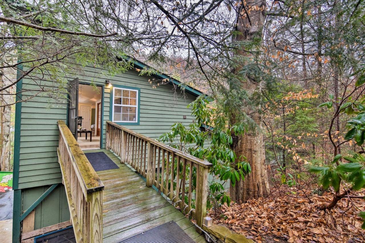 Appalachian Mountain Retreat 6 Mi To Asheville! Экстерьер фото